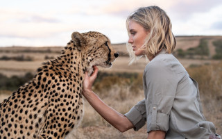 Woman cheetah field outdoors blonde - a cheetah free wallpaper