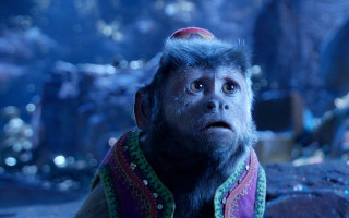 Monkey hat scarf looking up - a hat and scarf free wallpaper for desktop