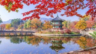 Pavilion lake bridge autumn leaves - choi buk free wallpaper