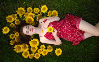Girl laying sunflower field smiling - a field of sunflowers free wallpaper