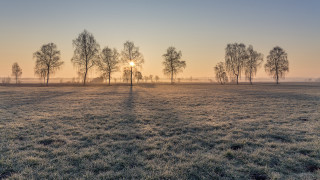 Sunset field trees grass lake - a.b. frost free wallpaper