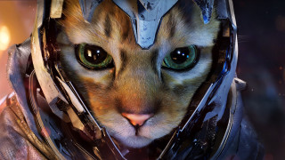 Cat helmet green eyes old - this image free wallpaper for desktop
