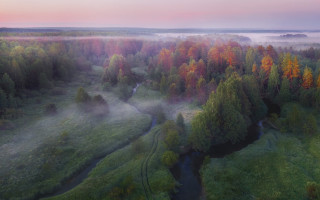Foggy forest river autumn pink - a foggy forest free wallpaper for desktop