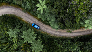 Blue car forest dirt road - tree and ferns free wallpaper