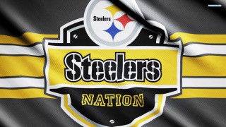 Pittsburgh nation football fence polka - shield free wallpaper
