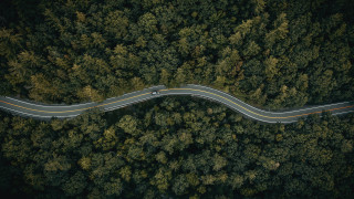 Forest road winding car truck - the road free wallpaper for desktop