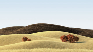 Grassy field trees hills blue 2 - a grassy field free wallpaper for desktop