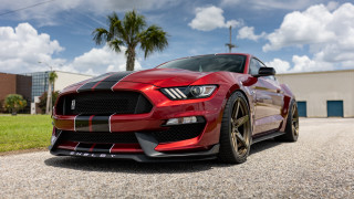 Red mustang gravel road palm - a red mustang mustang free wallpaper