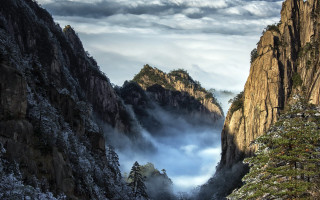 Mountain valley fog trees lake - fog in the air and trees free wallpaper