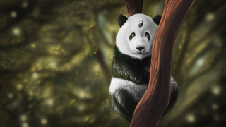 Panda hanging on branch fantasy - a panda bear free wallpaper