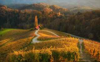 Winding road field house forest - winding free wallpaper for desktop