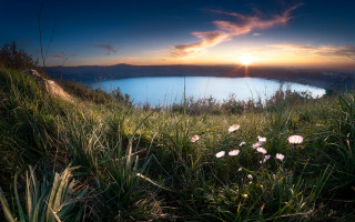 Lake flowers sunset bush horizon - anton graff free wallpaper for desktop