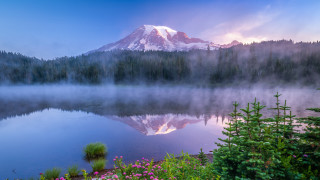 Mountain lake forest flowers sunset - a lake in the foreground and a forest in the background free wallpaper for desktop