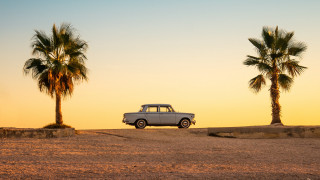 Desert car palm trees sunset - a yellow sky free wallpaper