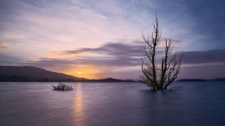 Lone tree lake sunset mountains 6 - a sun setting free wallpaper