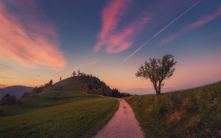 Sunset path hill tree magical - the hill free wallpaper for desktop