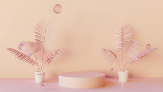 Pink wall plants round table - pastel color palette free wallpaper
