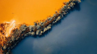 Yellow tree sunset flame autumn - filip hodas free wallpaper