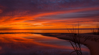 Sunset water beach reeds horizon - a sunset over a body of water free wallpaper for desktop