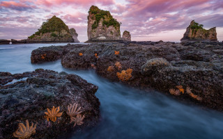 Rocky beach sunset pink sky 6 - a few rock free wallpaper