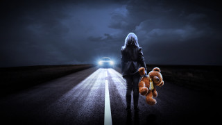 Woman teddybear road night car - a teddy bear free wallpaper
