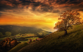 Tree hill sunset cloudy sky - a valley below free wallpaper