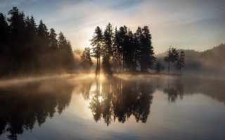 Lake fog sunrise trees reflection - tree and fog in the background free wallpaper