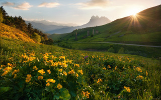 Flower field mountains sunbeam autumn - romanesque free wallpaper for desktop