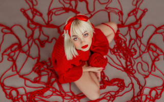 Red sweater red rose spider - a red sweater free wallpaper