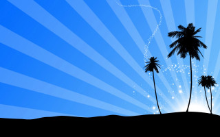 Palm tree star trail sunburst - against a blue sky free wallpaper
