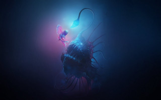 Floating blue purple light fish - alberto seveso free wallpaper