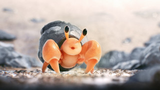 Toy crab rock surreal macro - surrealism free wallpaper
