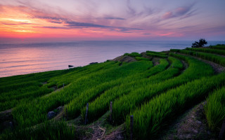 Sunset grassy hill lake forest - a sunset in the background and a body of water free wallpaper