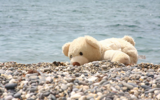 Teddy bear rocky beach ocean - a rocky beach next free wallpaper