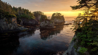 Sunset water trees cliff birds - a sunset over a body of water free wallpaper