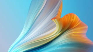 Colorful flower blue background white - a colorful flower free wallpaper