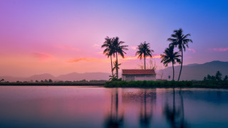 Island house palm trees sunset - a small island free wallpaper