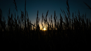 Sunset tallgrass darksky fullmoon clouds - lightroom free wallpaper