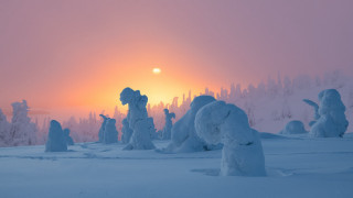 Sunset snowy landscape trees snowmen - tree and snow covered ground free wallpaper for desktop