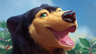 Dog open mouth clouds flowers - its mouth open free wallpaper