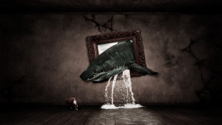 Shark jumping room puddle mirror - a puddle of water free wallpaper