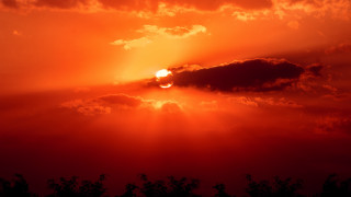 Red sky sun clouds trees - a red sky free wallpaper