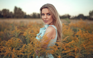 Flower field woman blue dress - anna hotchkis free wallpaper