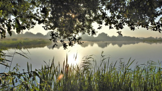 Lake forest branch sunset impressionism - free summer wallpaper for desktop