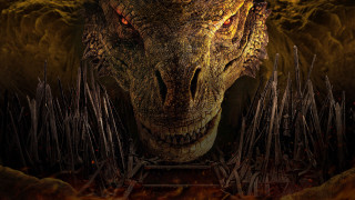 Alligator fire background monster sharp - a large head free wallpaper for desktop