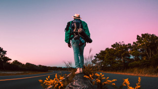 Walking log sunset backpack autumn - a backpack free wallpaper