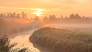 River foggy sky sunrise impressionist - grass and bushes free wallpaper