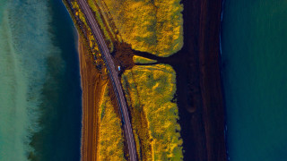 Road water tree sunset nature - a microscopic photo free wallpaper