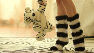 Zebra socks stuffed animal zebra - their other hand free wallpaper for desktop