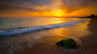 Sunset ocean wave rock beach - a rock in the foreground free wallpaper for desktop